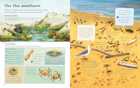 USBORNE OUTDOOR BOOK - BONE. EMILY; SMITH. BRIONY MAY